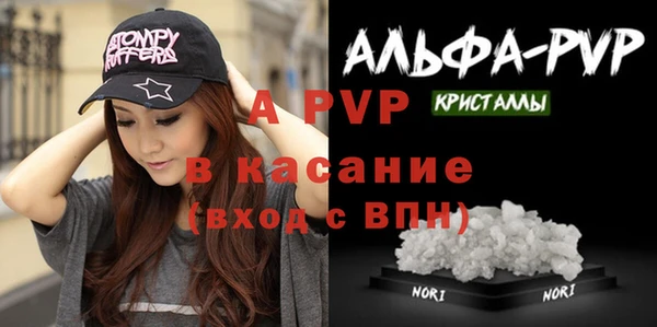 прущие грибы Гусь-Хрустальный