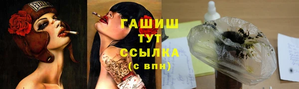прущие грибы Гусь-Хрустальный