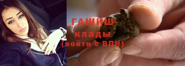 прущие грибы Гусь-Хрустальный