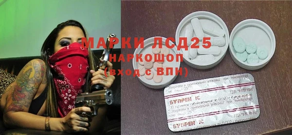 прущие грибы Гусь-Хрустальный