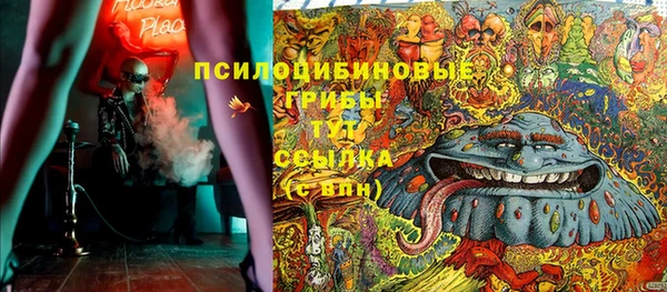 прущие грибы Гусь-Хрустальный
