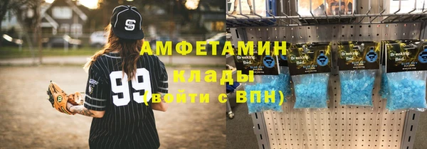 прущие грибы Гусь-Хрустальный