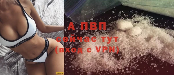 прущие грибы Гусь-Хрустальный