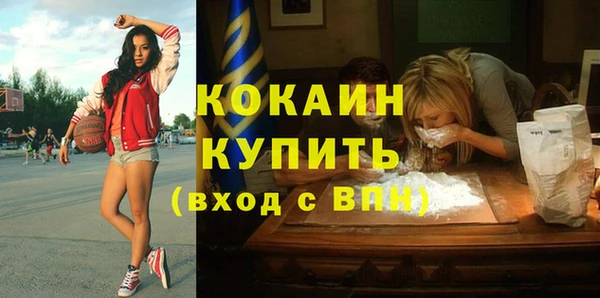 прущие грибы Гусь-Хрустальный
