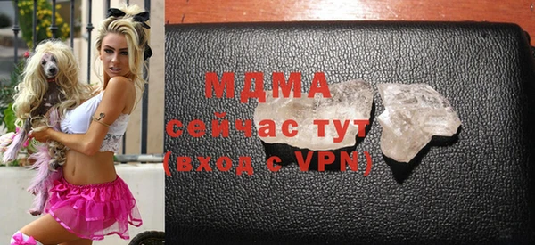 прущие грибы Гусь-Хрустальный