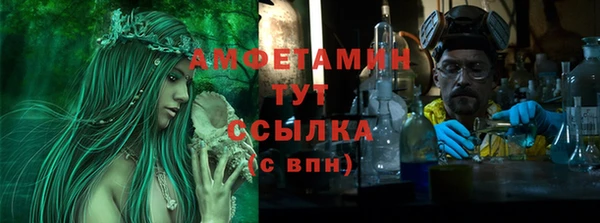 прущие грибы Гусь-Хрустальный