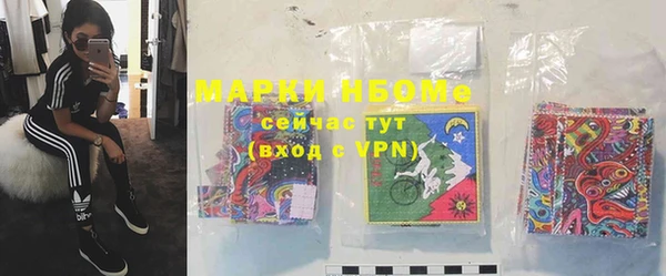 прущие грибы Гусь-Хрустальный
