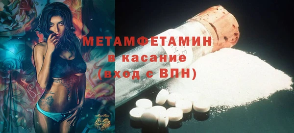 прущие грибы Гусь-Хрустальный